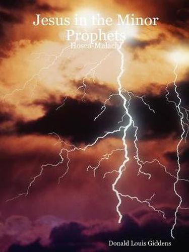 Cover image for Jesus in the Minor Prophets: Hosea-Malachi