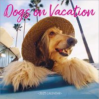 Cover image for Dogs on Vacation Wall Calendar 2025
