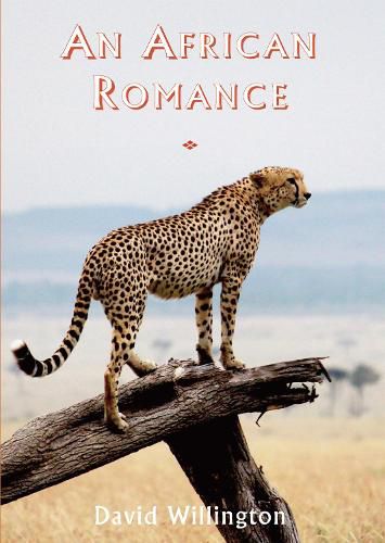 An African Romance, David Willington (9781853982040) — Readings Books