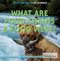 Cover image for What Are Food Chains & Food Webs?