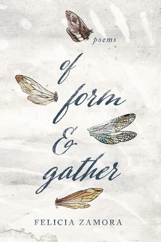 Cover image for Of Form & Gather