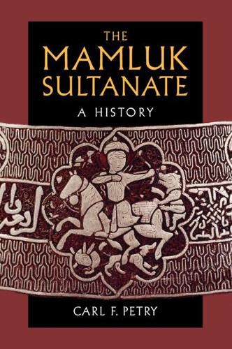 Cover image for The Mamluk Sultanate: A History