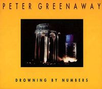 Cover image for Drowning by Numbers