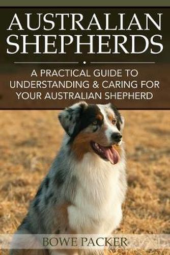 Cover image for Australian Shepherds: A Practical Guide to Understanding & Caring for Your Australian Shepherd