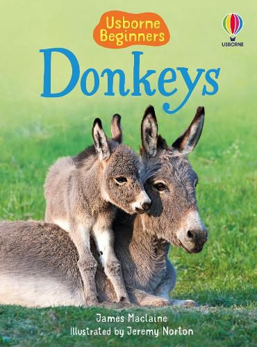 Cover image for Donkeys