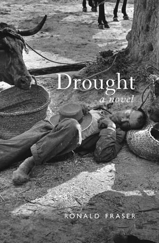 Cover image for Drought: A Novel