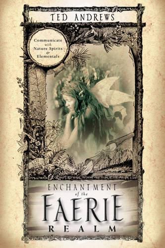 Cover image for Enchantment of the Faerie Realm