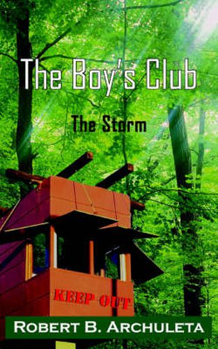 Cover image for The Boy's Club: The Storm