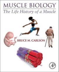 Cover image for Muscle Biology: The Life History of a Muscle