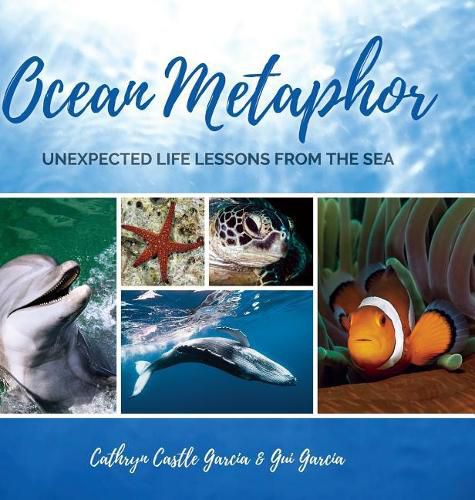 Cover image for Ocean Metaphor: Unexpected Life Lessons from the Sea