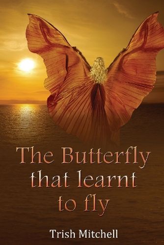 Cover image for The Butterfly that learnt to fly