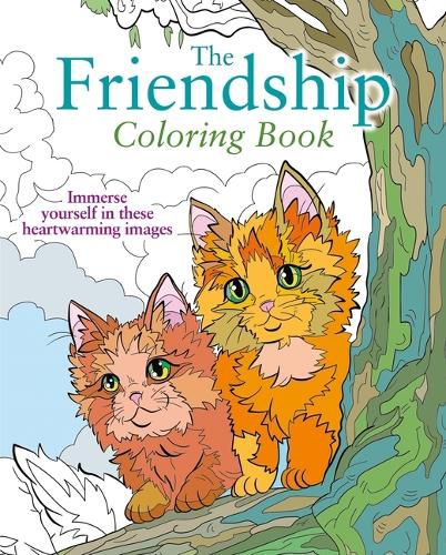 Cover image for The Friendship Coloring Book