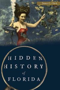 Cover image for Hidden History of Florida