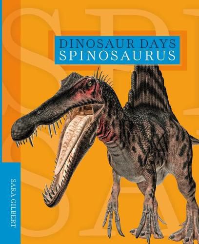 Cover image for Spinosaurus