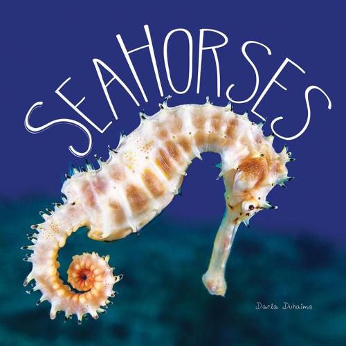 Cover image for Sea Horses