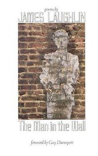 Cover image for The Man in the Wall