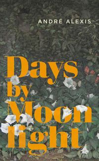Cover image for Days by Moonlight