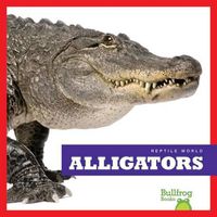 Cover image for Alligators