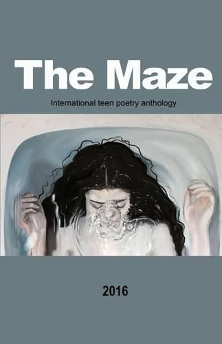 Cover image for Navigating the Maze