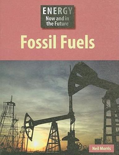 Cover image for Fossil Fuels