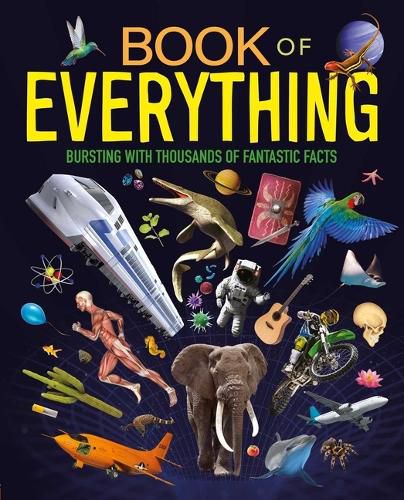 Cover image for Book of Everything