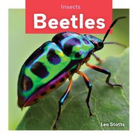 Cover image for Insects: Beetles