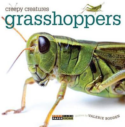 Cover image for Grasshoppers