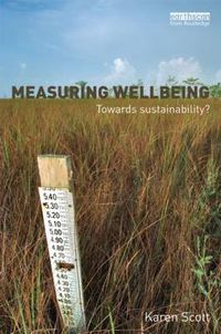 Cover image for Measuring Wellbeing: Towards sustainability?