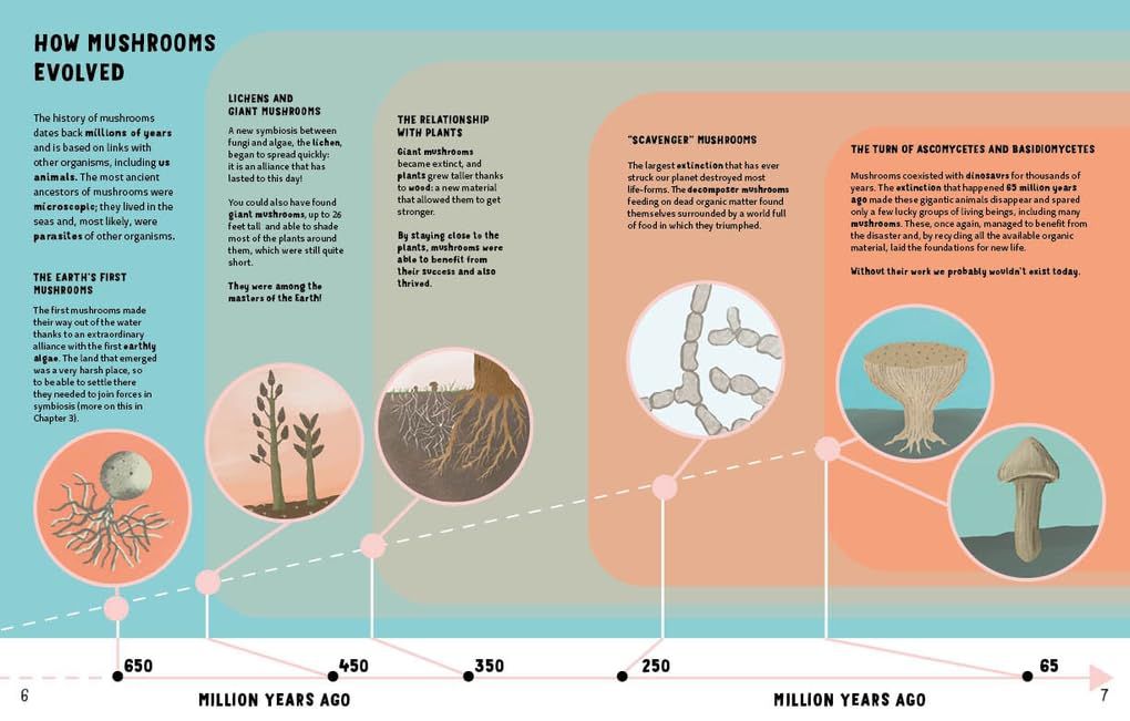 The Secrets of Mushrooms