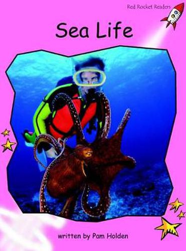 Cover image for Red Rocket Readers: Pre-Reading Non-Fiction Set A: Sea Life (Reading Level 1/F&P Level A)