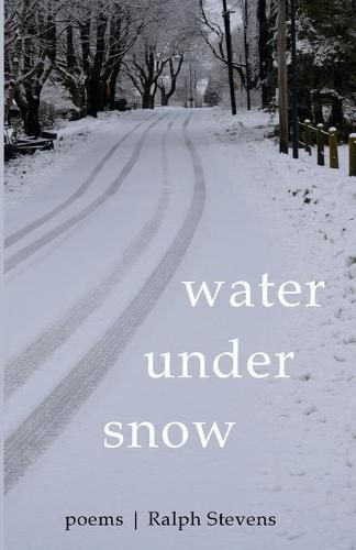 Cover image for Water under Snow