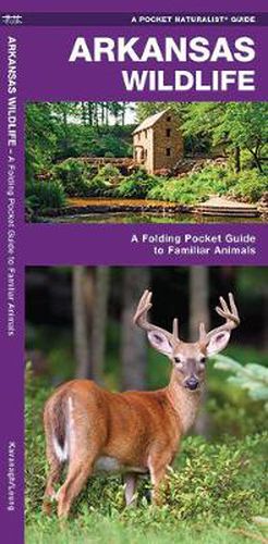 Cover image for Arkansas Wildlife: A Folding Pocket Guide to Familiar Species