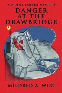 Cover image for Danger at the Drawbridge