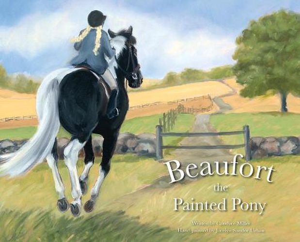 Cover image for Beaufort the Painted Pony