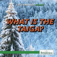 Cover image for What Is the Taiga?