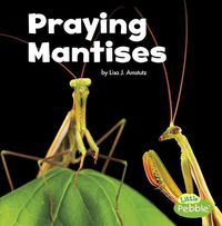 Cover image for Praying Mantises