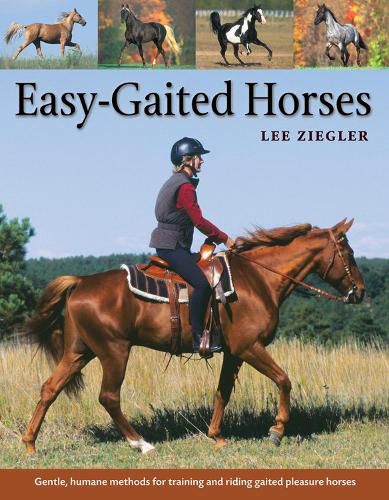 Cover image for Easy-Gaited Horses