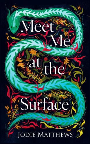 Cover image for Meet Me at the Surface