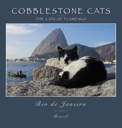 Cover image for Cobblestone Cats - Rio de Janeiro: The Cats of Flamengo