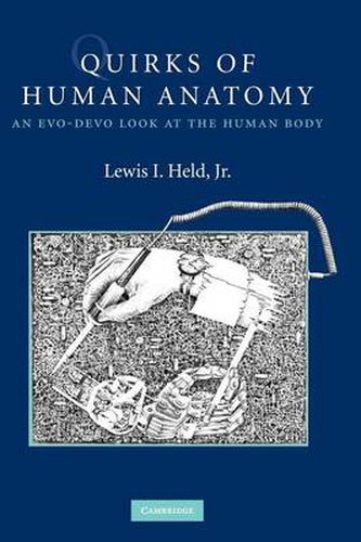 Cover image for Quirks of Human Anatomy: An Evo-Devo Look at the Human Body