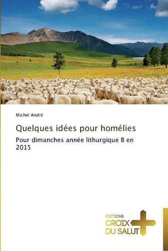 Cover image for Quelques idees pour homelies