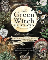 Cover image for The Green Witch Illustrated