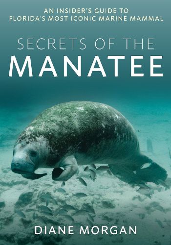 Cover image for Secrets of the Manatee: An Insider's Guide to Florida's Most Iconic Marine Mammal