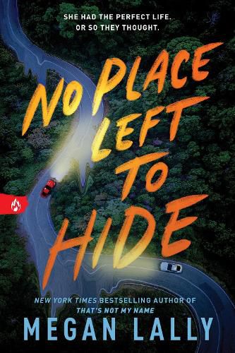 Cover image for No Place Left to Hide