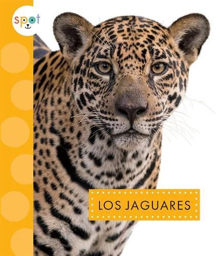 Cover image for Los Jaguares