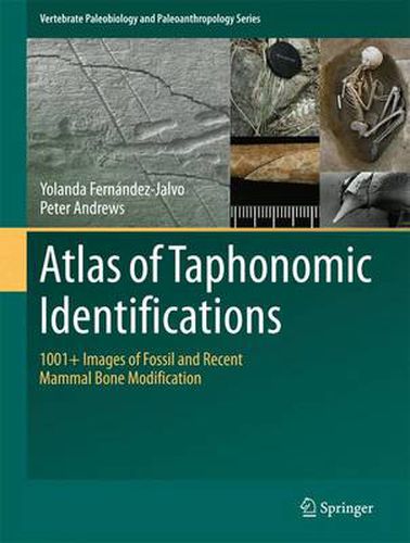 Cover image for Atlas of Taphonomic Identifications: 1001+ Images of Fossil and Recent Mammal Bone Modification