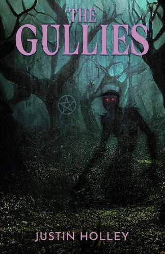 Cover image for The Gullies