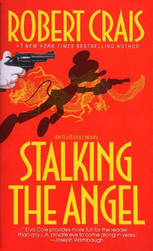 Cover image for Stalking The Angel