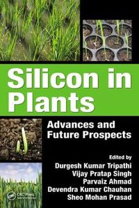 Cover image for Silicon in Plants: Advances and Future Prospects