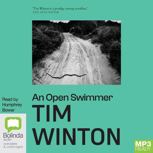 Cover image for An Open Swimmer